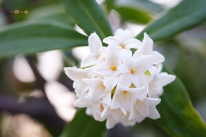 相続登記はお済みですか？